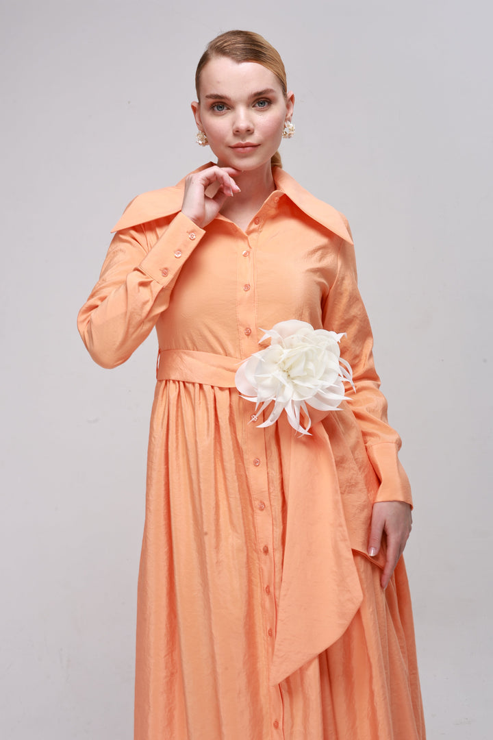 Shirt collar dress with belt